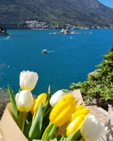 Cozy Studio u Perastu – Prostrani dvokrevetni studio