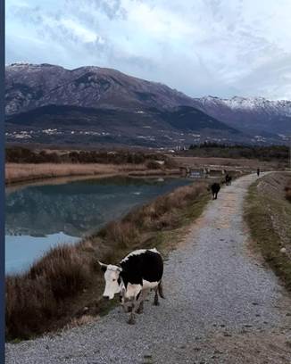 Rezervat Solila Rezervat Solila